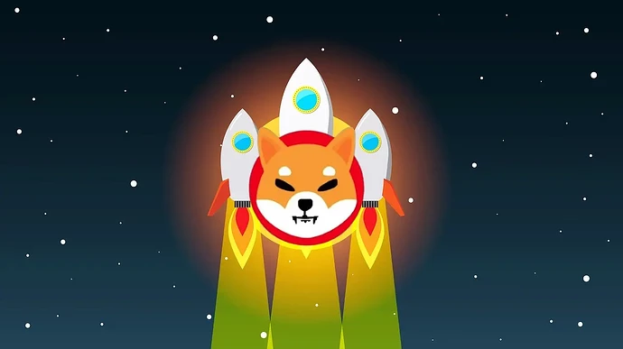 Shiba-Burn-Rocket
